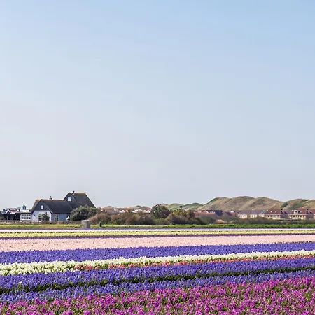 Vakantiehuis Eenvoudig Zomerhuisje Blenck 36 - Bungalowpark De Blenck Aan Zee *