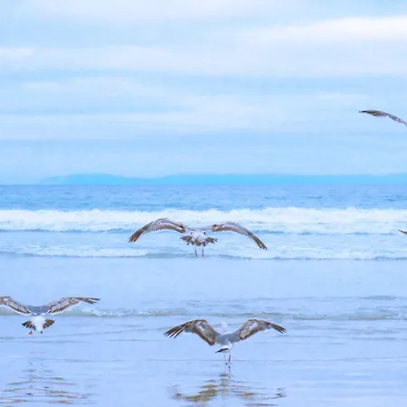 Eenvoudig Zomerhuisje Blenck 36 - Bungalowpark De Blenck Aan Zee Vakantiehuis