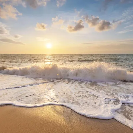 Eenvoudig Zomerhuisje Blenck 36 - Bungalowpark De Blenck Aan Zee *