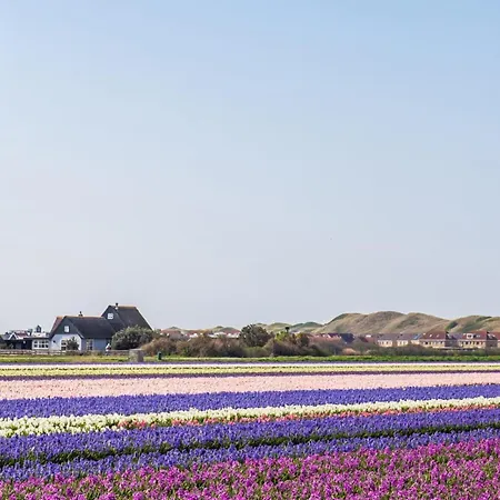 Holiday home Simpel Vacationhome Blenck 36 - Bungalowpark De Blenck Aan Zee *