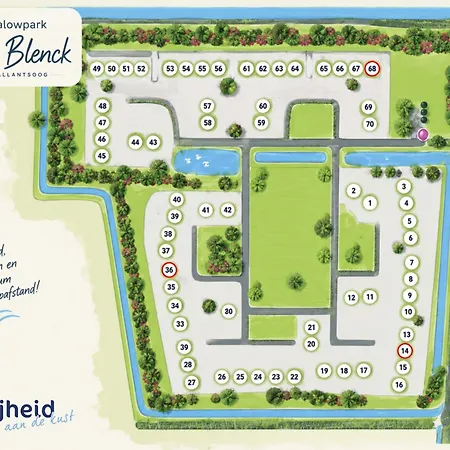 Eenvoudig Zomerhuisje Blenck 36 - Bungalowpark De Blenck Aan Zee Vakantiehuis Callantsoog