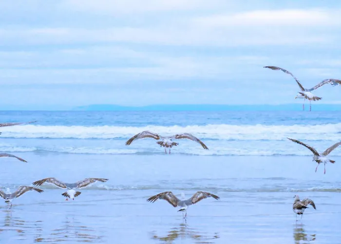 Simpel Vacationhome Blenck 36 - Bungalowpark De Blenck Callantsoog Aan Zee Holiday home